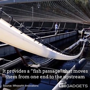1,700 feet tube ships salmons across dams. | GIGadgets