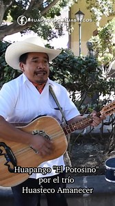 12K views · 867 reactions | Huapango "El Potosino" por el trío Huasteco Amanecer de SLP . #huapango #sonhuasteco #gavbroadcast #huapangoshuastecos | Huapangos Huastecos | Facebook