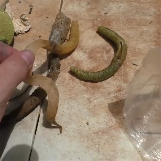 34K views · 568 reactions | I went scuba diving at a lake swimming hole! #treasure | Exploring with the Nug | Facebook