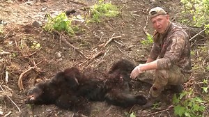 69K views · 337 reactions | Here, I demonstrate how I gut a bear. #everythingeichler #fredeichler #fulldrawoutfitters #gut #bear #BearDown #OutdoorEdge #outdooredgeknives #teamoutdoors #cabelas Outdoor Edge Knives & Tools Cabela's | Fred Eichler - Fan Page | Facebook