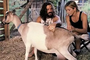 First look at Wanderlust