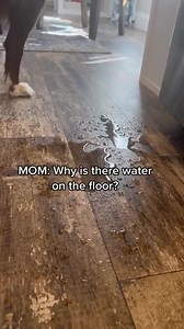 17K views · 190 reactions | Just put the child lock ON ⁠ .⁠ .⁠  TikTok/careerinqueue | DeineTierwelt | Facebook