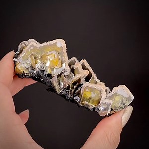 Wulfenite with Calcite coating - Glove Mine, Santa Cruz Co., Arizona, USA More info: https://www.irocks.com/minerals/specimen/47911 Superbly crystallized blades of mustard yellow Wulfenite are arranged in an imbricated, elongate cluster of thin, tabular, square crystals brandishing copious amounts of drusy, white Calcite that coat the front and top of the Wulfenites. The Wulfenites reach 2.3cm and are well-formed and visible from the rear but largely hidden from the front by the Calcite. The Cal