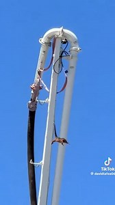 Brisbane concreters appear to shake possum off crane