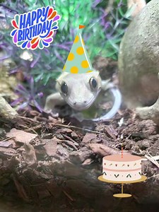 Positively DBT - BPD and Neurodivergent Friendly DBT Peer Support on Reels | Facebook