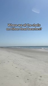 33K views · 14 reactions | Have you noticed it’s hard to find shells on the beaches in Hilton Head, SC? Travel to the north side of the island to Fish Haul beach to find shells. Note that this is a tranquil beach with marshes and more wildlife. Hilton Head // Hilton Head Beach // Beach Vacation // Hilton Head Vacation hiltonhead #hiltonheadbeach #beachvacation #visithiltonhead | Hilton Head Livin | Facebook