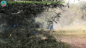 expert category simi FINAL brgy.sinaragan matanao Davao del sur motocross 🏁 #MotorAcePhilippines #motorcrossracing #motorsport #motortrail #motorcycle #motorcycles #motorcross Pitik ni tutoy | Pitik Ni Ungas