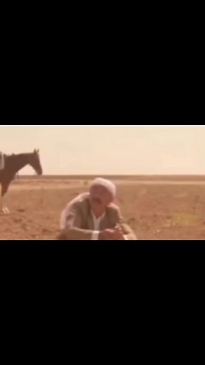 Yeşil Çam on Reels