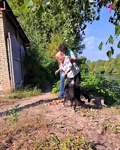 56K views · 1.5K reactions | A smart dog rescued the elderly woman | Tips & Tricks | Facebook