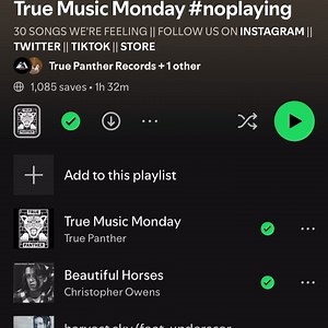 True Panther Sounds on Reels