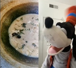 Mouse soup! | Brock Baker