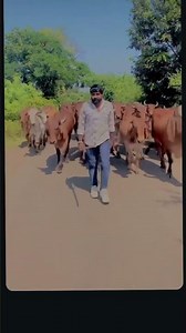 જય ઠાકર ♥️😍🥰