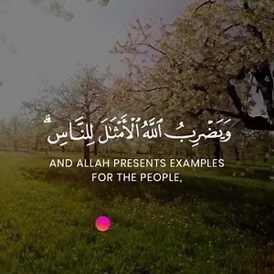 1K views · 47 reactions | Malayalam Quran - മലയാളം ഖുർആൻ on Reels | Facebook