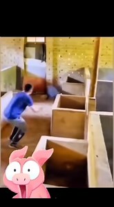 Catching wild pigs in a pen.. | 428 Kitchen & Warehouse 19624