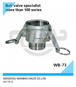 [Hot Item] Camlock Type B Male Threaded Connector Stainless Steel CF8m Quick Coupling Self-Locking Adapter with Self-Locking Handles