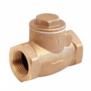 [Hot Item] Bronze Threaded Swing Check Valve