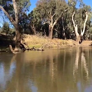 9.6K views · 658 reactions | Sweet, fishing down the Lachlan River. Great to be back! #Codseason | Shannon Noll | Facebook