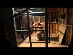 'Zero Dark Thirty' Catches Criticism Over Torture Depictions