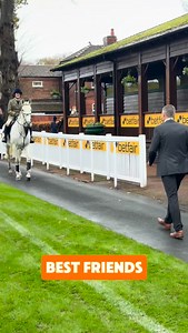 Daryl Jacob being reunited with Bristol De Mai 🥰 #RacedayTV | Raceday TV