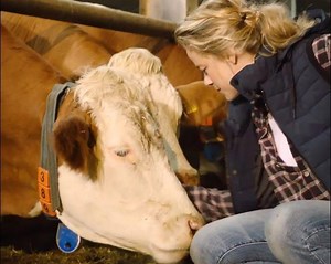 1.9K views · 26 reactions | De 5R is een nieuwe helper op uw veehouderij  Zijn veelzijdigheid maakt uw leven gemakkelijker  Bekijk de hele serie op onze website!  https://bit.ly/2ZhGdlO | John Deere | Facebook