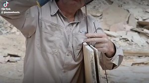 In Stone Fossils on Reels