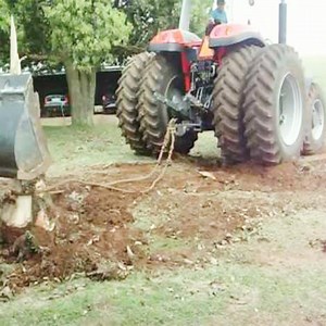 Eliminate tree corner with tractor | Green Earth
