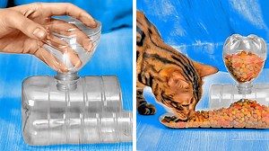 Useful pet crafts and gadgets for your lovely pets: | 5-Minute Crafts Teens