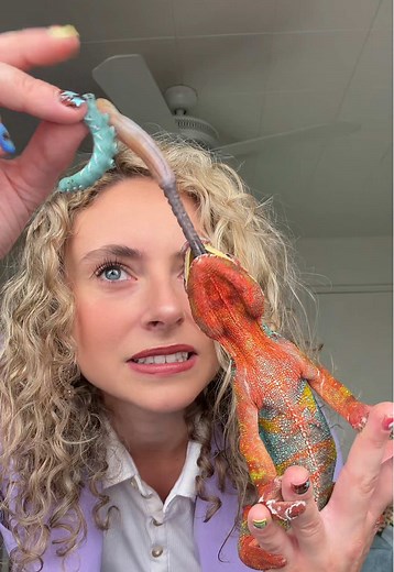 Panther Chameleon's Brain Cells Hunting Gummy Worms