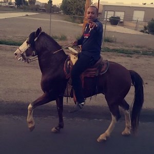 9.8K views · 144 reactions | Nos vemos hoy en El Rodeo de Moreno Valley #VaqueroNegro #LosDeCali #BandaElCoronel | El compa negro | Facebook