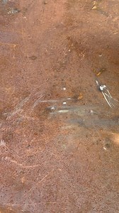 Homemade garden tools ideas #garden 🪴 #gardentools #trendingshorts #reelsviral | Mohd Uvais