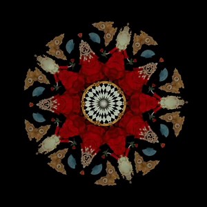 🌹 ✉️ You are cordially invited to The Salpêtrière asylum, home to the inconvenient, the unwanted and the strong-willed, to attend The Mad Women’s Ball this February. The Mad Women’s Ball by bestselling author Victoria Mas is out now in paperback. | Penguin Books