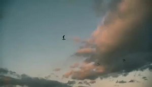 We were sent this beautiful compilation of cast members remembering JG by a member. We love it so much 🥺♥️ #TheSopranos | The Sopranos - Members Only