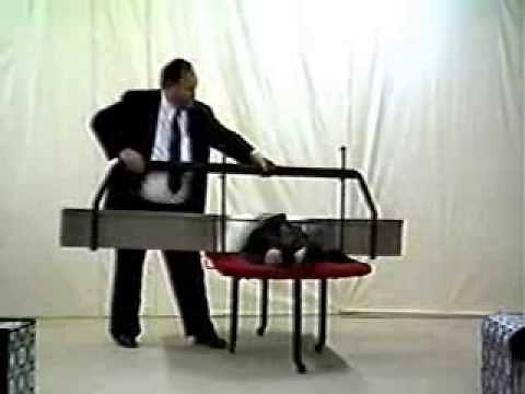Phil Moore Sawing a Lady in Half Magic Illusion