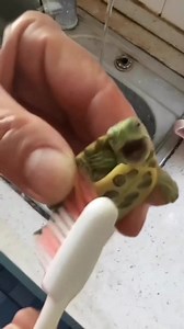 That feeling of pure joy and happiness when you get a body shampoo at Jeju Sauna. 🤣😜 | Jeju Sauna & Spa Home of Wellbeing