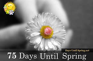 The #Countdown to #Spring 💛🌈🌷 🌈 👉 https://daysuntilspring.net 👈 🌸 | Spring Countdown