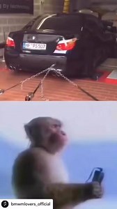 8.2K views · 197 reactions | #bmwlovers_official | BMW M POWER | Facebook