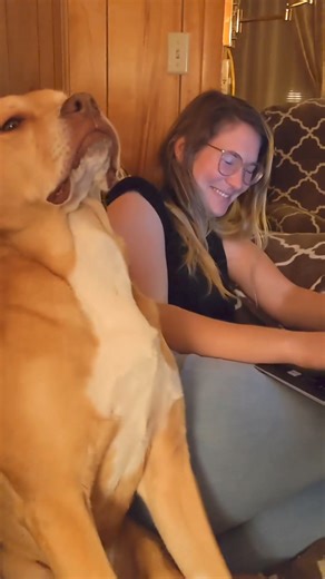 319K views · 6.3K reactions | You can only fight it for so long   | Dr Chris Brown | Facebook