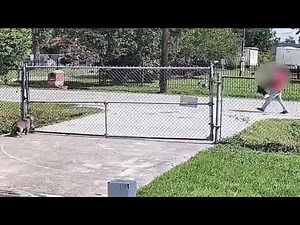 ‘Horrific’ video allegedly shows illegal migrant re-capturing sex slave