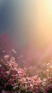 16K views · 356 reactions | Smile & Shine on Reels | Facebook