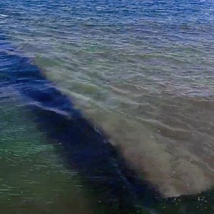 Margate beach London | Tulip London