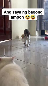 366 reactions · 26 shares | Tuwang tuwa so menggay my bahay n daw sya #funny #pets #cat | Maita Emerita Asugas Magtangob | Facebook