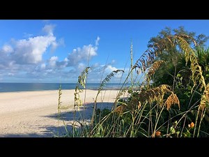 Area 4 Beach at Delnor-Wiggins Pass State Park 08.07.19