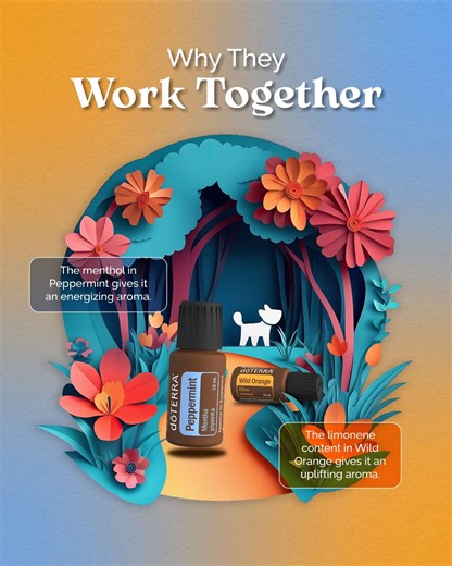 3.7K views · 60 reactions | Here are some quick sharing tips on why Peppermint + Wild Orange work so well together. They're a go-to duo for boosting mood and creating a positive atmosphere!  | doTERRA Business USA | Facebook