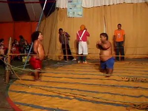 252 reactions · 462 shares | Small Hearts | Wrestling | Facebook