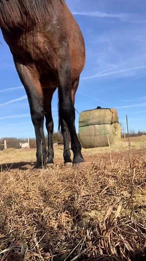 Kaiann Buchanan on TikTok