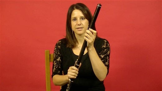 20 reactions | Irish Flute Lesson for the Absolute Beginner! Join...