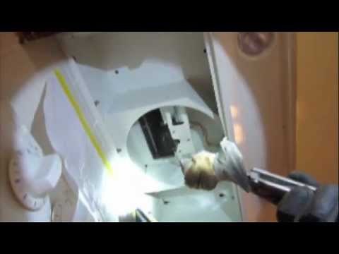 Bat Extraction from Kitchen Stove Vent