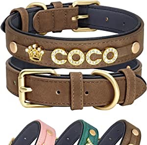 Didog Personalized Rhinestone Dog Collars, Leather Dog Collar with Custom Bling Rhinestone Pet Name for Small Medium Dogs, Brown, L