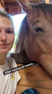 240K views · 5.1K reactions | Geldings versus mares: the endless debate  #horses #gelding #mares #horsegirl #equestrian | Double Z Farm | Facebook