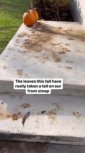 Quick and easy way to remove Leaf stains #stainremoval #concrete #cleaning #satisfying #diy #cleantok #lifehack #cleaninghack | Don't Drink and DIY